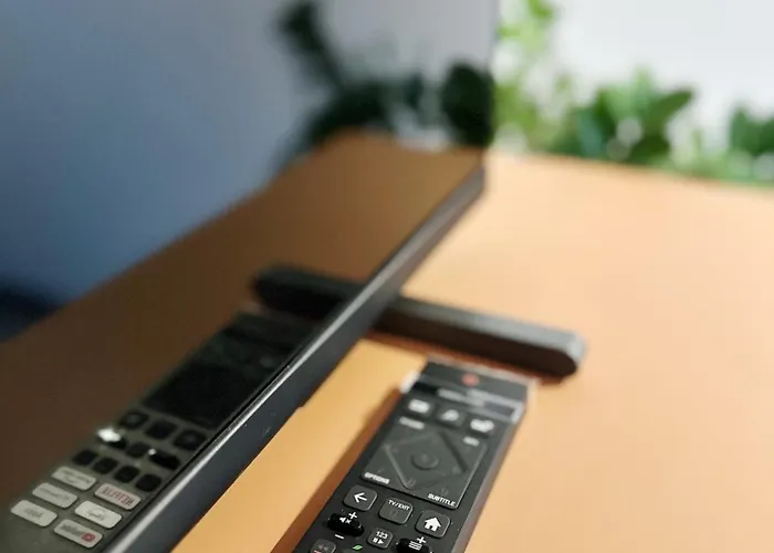 Dmr